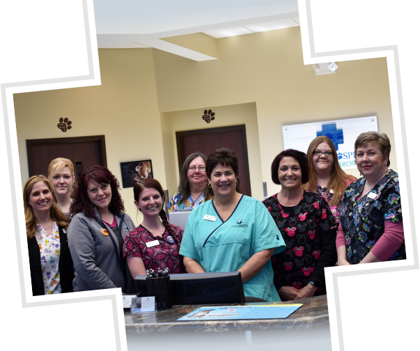 Group picture of staff at our animal hospital